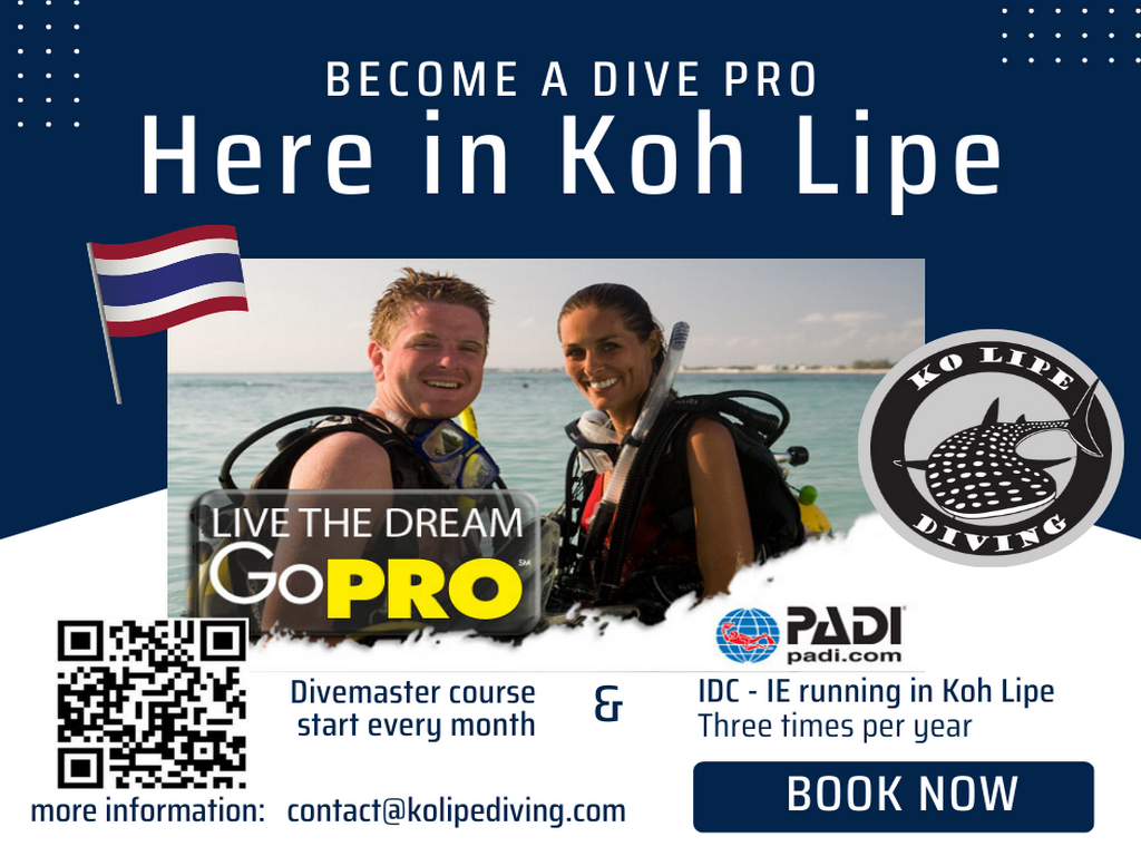 Become a dive instructor